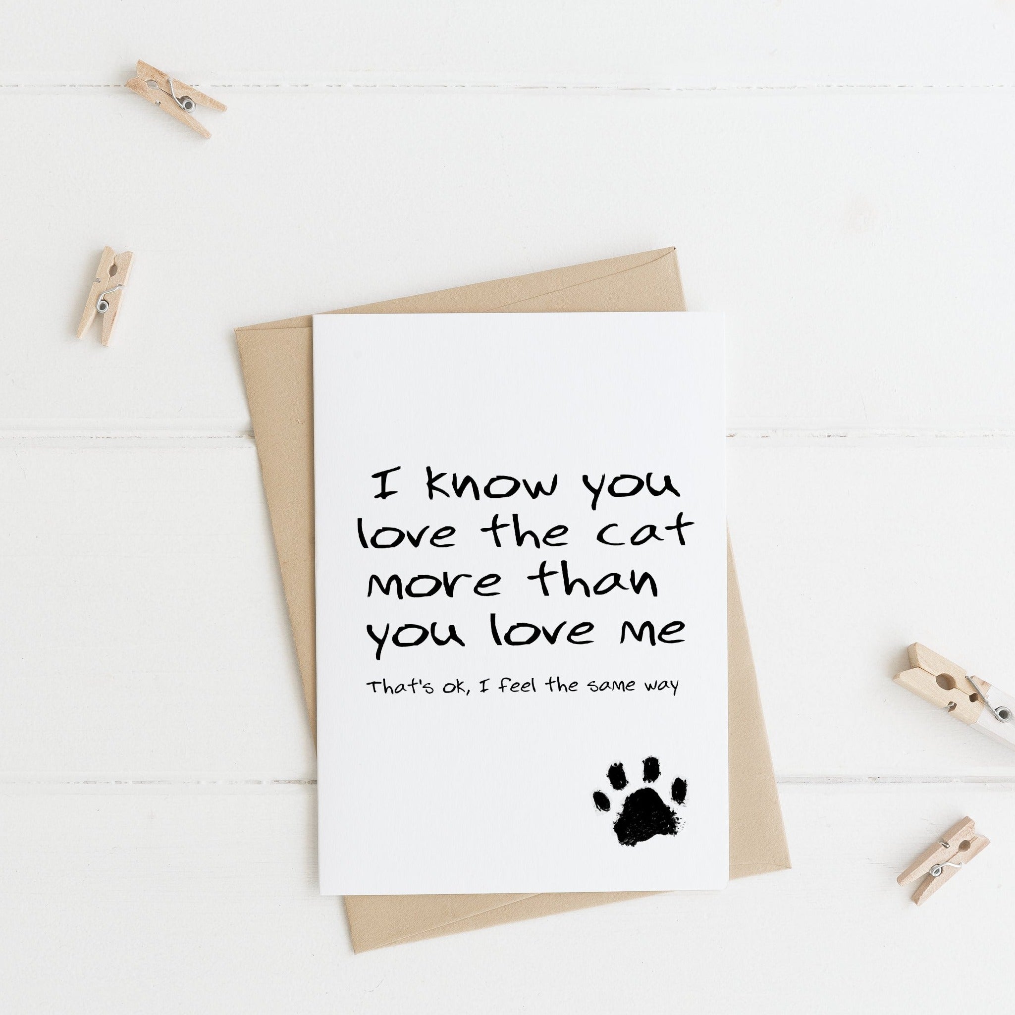i know you love the cat more than you love me, thats ok, i feel the same way. valentines day animal greeting card